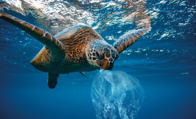 Verbanne mit uns Plastik aus den Ozeanen indem wir bereits vor der Verschmutzung ansetzen